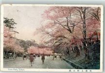 Tokyo Tokio 1912 Gebrauchsspuren Ueno Park