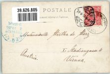 Enten Gans Hühner auf dem Bauernhof Geflügel 1902 Privatfoto AK