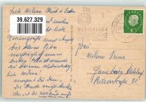 W2280 Westerland Insel Sylt Seehundpärchen Robbe 1969 Foto AK