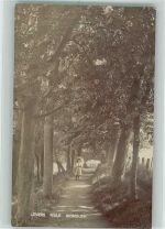 Exeter Foto AK Lovers Walk Sidmouth