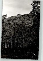 66996 W6781 Ludwigswinkel - Blick zum Mai-Mont