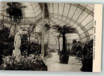 Liverpool Foto AK Sefton Park Palm House