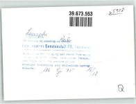 57334 W5928 Bad Laasphe FOTO KEINE AK Reiter Foto Original aus Archiv eines Ansichtskartenverlags