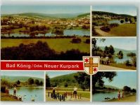 64732 W6123 Bad König Foto AK Neuer Kurpark Garten Schach Schwan Wappen