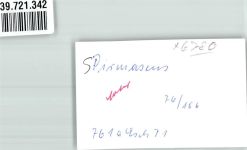66953 W6780 Pirmasens FOTO KEINE AK Handlung Auto Ort handschriftlich Foto Original aus Archiv eines Ansichtskartenverlags