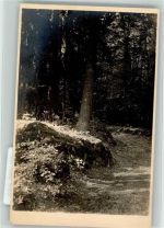 91344 W8551 Muggendorf , Oberfr - Fänkische schweiz Druidenhain