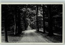 1401 Bussum 1940 Foto AK