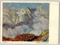 sign. Stegmann E. Alpenleim vor der Zugspitze Nr.366 Alpenflora Künstlerkarte