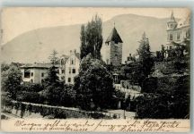 39012 Meran Merano 1905 - Passeiertor
