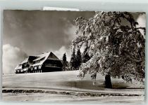 79244 W7816 Münstertal , Schwarzwald Winter Verschneiter Baum vor dem Hotel Burggraf