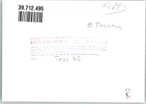 26969 W2890 Tossens FOTO KEINE AK Foto Original aus Archiv eines Ansichtskartenverlags Ort handschriftlich