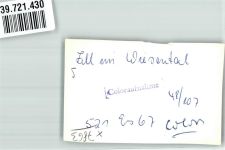 79669 W7863 Zell im Wiesental FOTO KEINE AK Ort handschriftlich Foto Original aus Archiv eines Ansichtskartenverlags