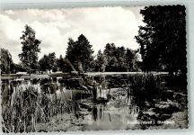 48429 W4440 Rheine Foto AK Stadtpark