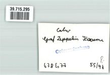 75365 W7260 Calw FOTO KEINE AK Graf Zeppelin Kaserne Ort handschriftlich Foto Original aus Archiv eines Ansichtskartenverlags