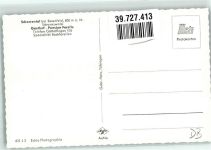 72297 W7291 Schorrental Foto AK Gasthaus Pension Forelle