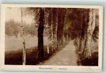 95680 W8591 Bad Alexandersbad Foto AK Birkenallee