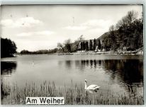 52477 W5110 Alsdorf , Rheinl Foto AK Am Weiher Schwan Ort handschriftlich