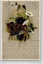 Mondschein Serie XV Blumen Feld Winkler & Schorn 1900 Lithographie