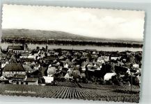 65366 W6222 Geisenheim , Rheingau Foto AK mit Rheingauer Dom