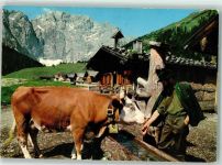 6166 Fulpmes - Almmotiv Engalm Ort lt. Stempel