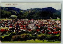 79183 W7808 Waldkirch , Breisgau 1919