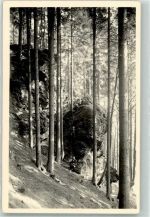 98666 O6121 Fehrenbach - Dachbachskanzel