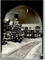 35619 W6333 Braunfels - Winter Weihnachtsbaum