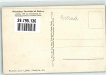 O1301 Eichhorst b Eberswalde Wisentstier Iwan in der Schortheide Schalk /Zuchtb.-Nr. 119 Büffel