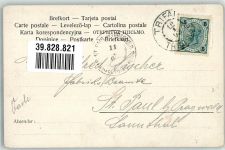 Frau sign. Herrfurth Schwan 1902 Künstlerkarte
