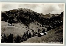87561 W8980 Gaisalpe b Oberstdorf Foto AK mit Entschenkopf und Nebelhorn