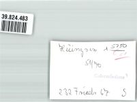 58706 W5750 Hüingsen , Sauerl FOTO KEINE AK Gschäft Ort handschriftlich Foto Original aus Archiv eines Ansichtskartenverlags