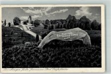 W3030 Walsrode Hermann-Löns-Gedenkstein im Tietlinger Wacholderpark Fotograf Rudolf Reher Nr. 22041 Stadt mit Hakenkreuz 1939 Foto AK