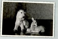 Figuren Rehkitz Hund Porzellan Privatfoto AK