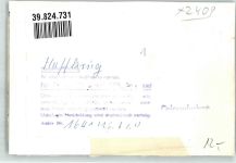 23629 W2401 Haffkrug FOTO KEINE AK Campingplatz or Ort handschriftlich Original aus Archiv eines Ansichtskartenverlags