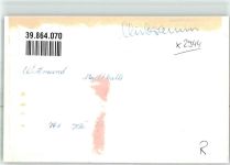 26409 W2944 Wittmund FOTO KEINE AK Stadthalle Clubraum Ort handschriftlich Foto Original aus Archiv eines Ansichtskartenverlags