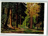 Im Hochwald Einbeck, W. Künstlerkarte