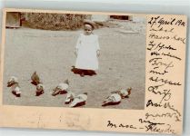Kind Taube 1904 Privatfoto AK