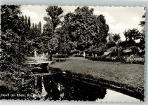 41460 W4040 Neuss Foto AK Rosengarten