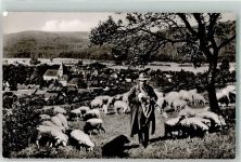 64732 W6123 Bad König Gebrauchsspuren Schäfer mit Schafherde Schäferhund