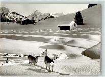 87561 W8980 Tiefenbach b Oberstdorf Foto AK Winter Am Weg nach Wasach