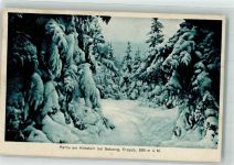 09496 O9341 Satzung 1923 Foto AK Winter Hirtstein