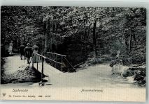 06507 O4302 Bad Suderode Foto AK Promeadenweg