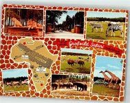 33758 W4815 Stukenbrock 1979 - Senne-Grosswild-Safari Löwen Zebras Elefanten Giraffen VW Käfer