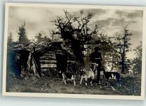 Hirte Hütte Bayerwaldhirten Ziege Foto AK