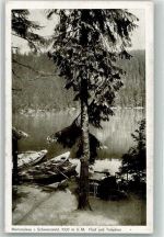 77889 W7596 Mummelsee - Ruderboote am Ufer Posthilfstelle