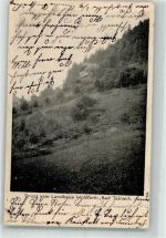 75385 W7264 Bad Teinach 1909 - Pension Gasthaus Landhaus Wohlfarth