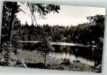 76596 W7564 Herrenwies , Baden Foto AK