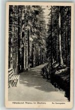 38667 W3396 Altenau , Harz - Am Dammmgraben