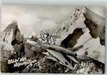 Gebirgsjäger Luftwaffe nach 1945
