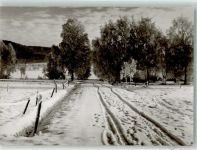 88271 W7983 Wilhelmsdorf , Württ Winter Ringenburg Foto Schäfer, G. Riedlandschaft